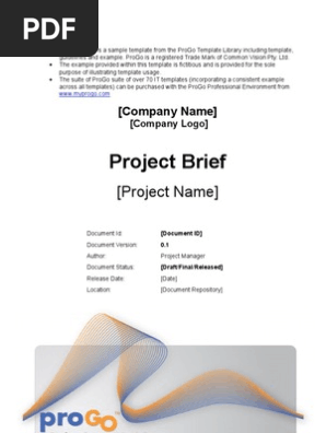 Project Brief
