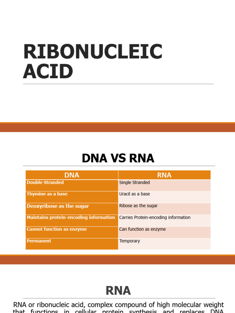 2 Ribonucleic Acid | PDF | Rna | Genetic Code