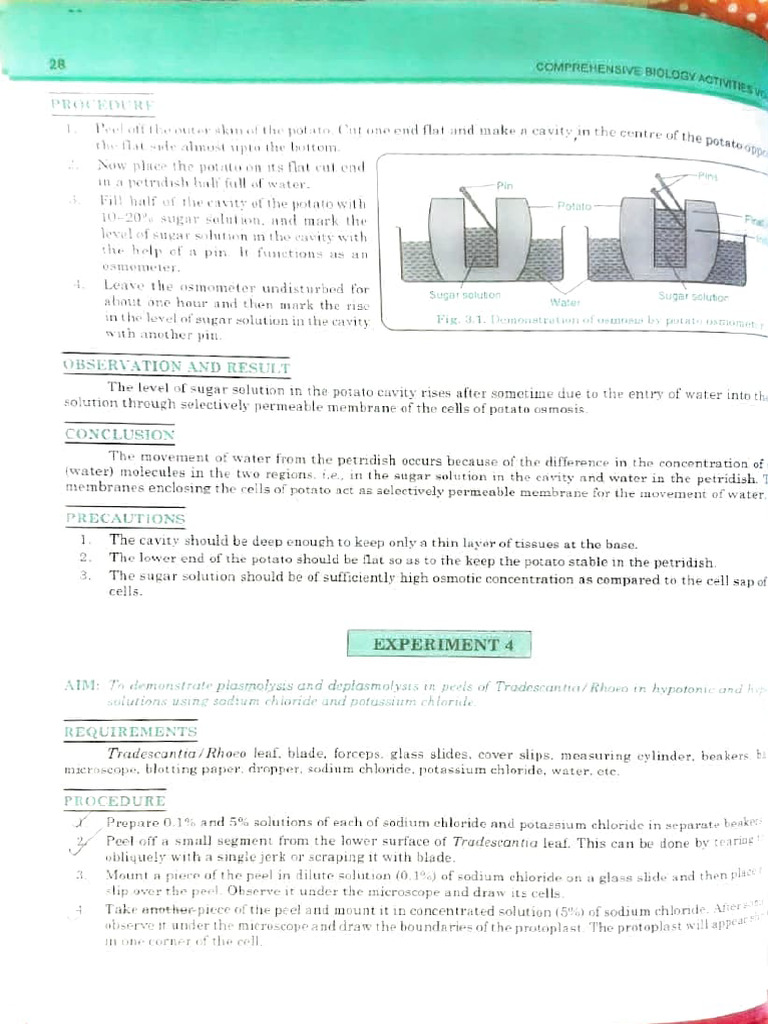 bio pracs | PDF