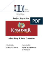 Kingfisher Project