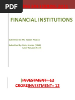 Islamic Naya Pakistan Certificates Guide | PDF | Investing | Banks