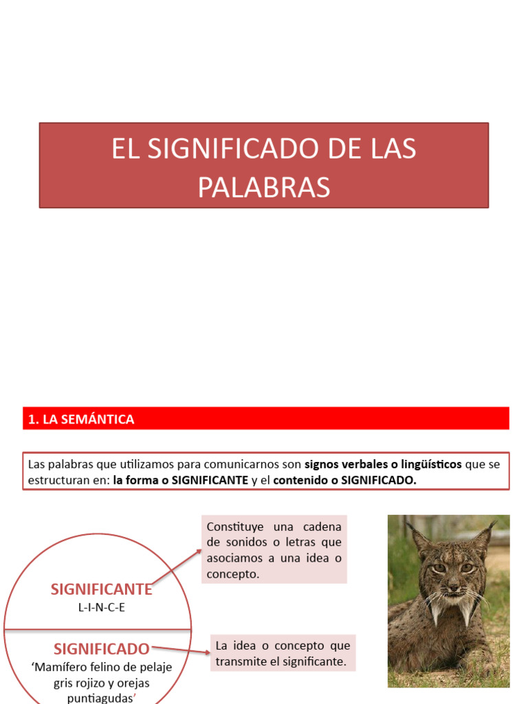 El Significado de Las Palabras | PDF | Palabra | Adverbio