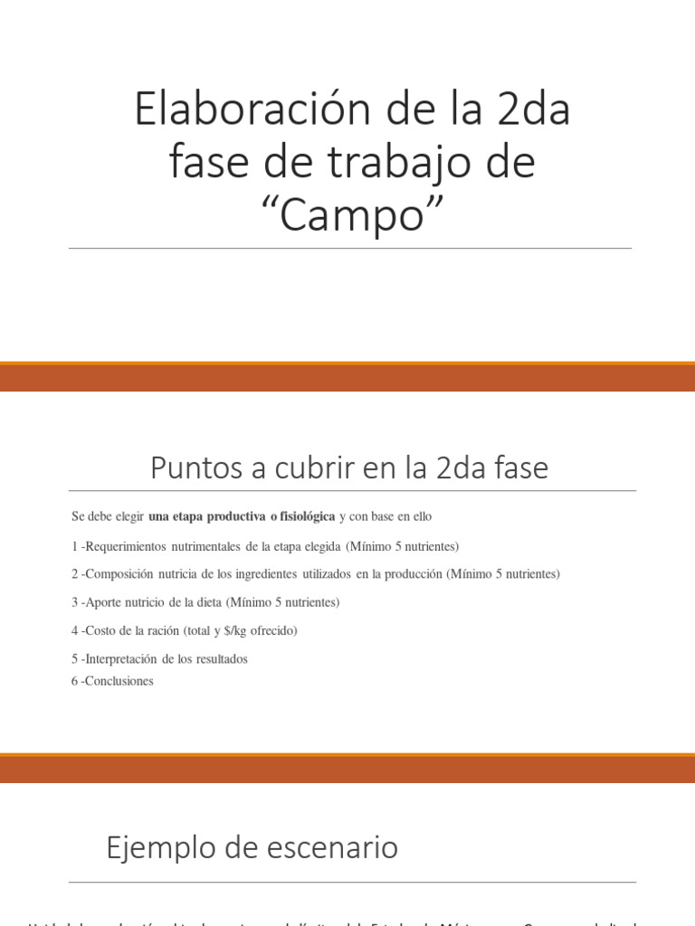 Elaboración de La 2da Fase de Trabajo de Campo Alimentos y Alimentación ...