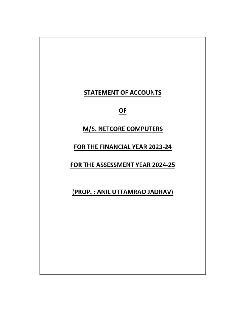Statement of accounts of m s netcore computers for the financial year