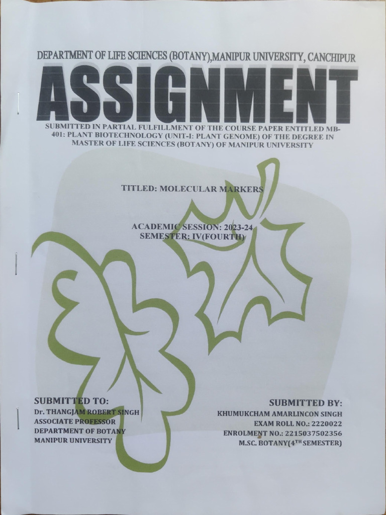 Mb 401 Assignment Pdf