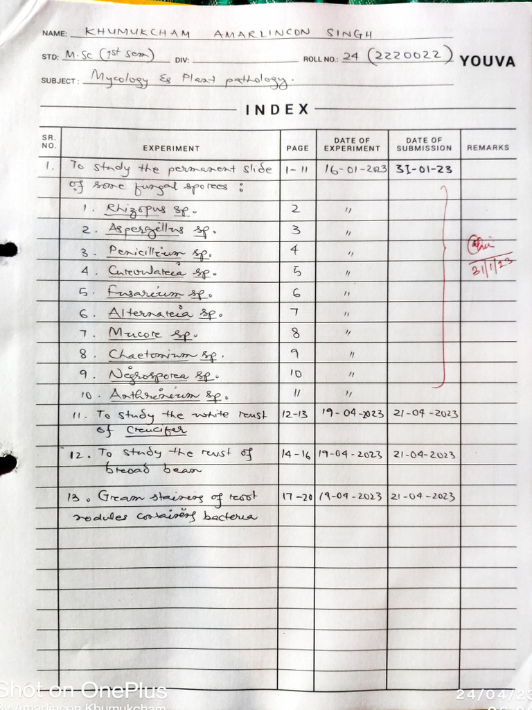 Pathology Practical Notebook Download Free Pdf Mycology Eukaryotes
