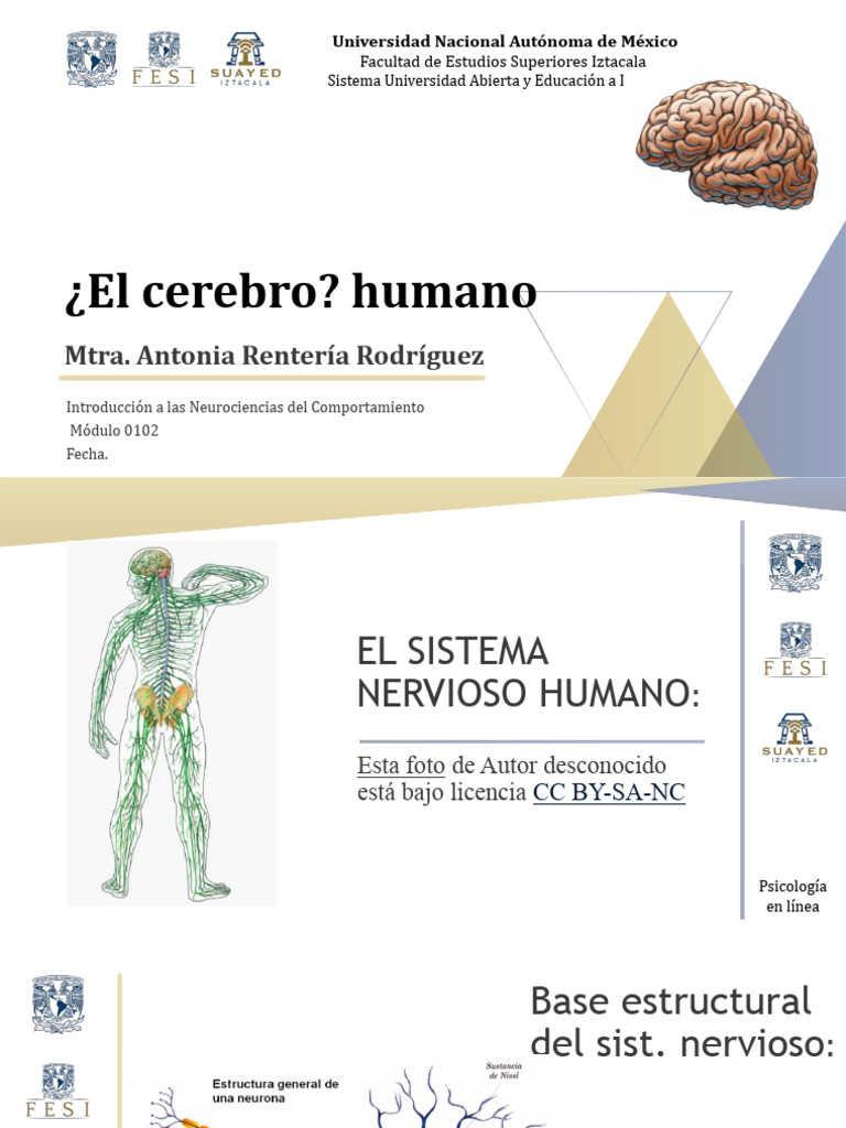 Introducción a las Neurociencias del Comportamiento | PDF | Ciencia y ...