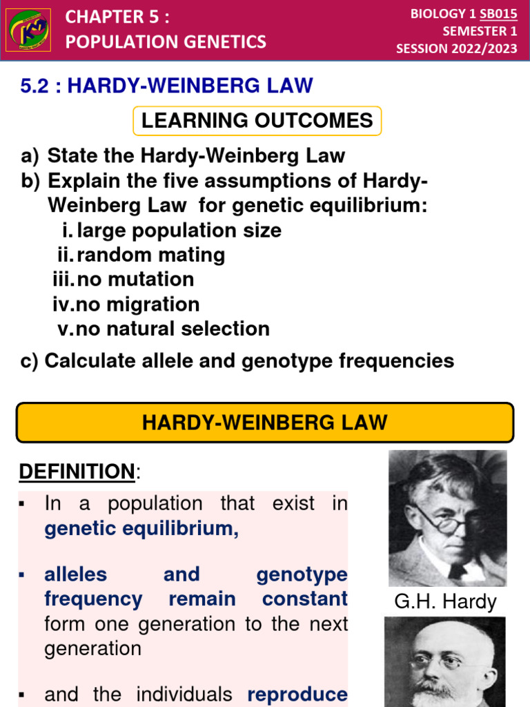 5.2 Hardy-Weinberg Law | PDF | Zygosity | Allele
