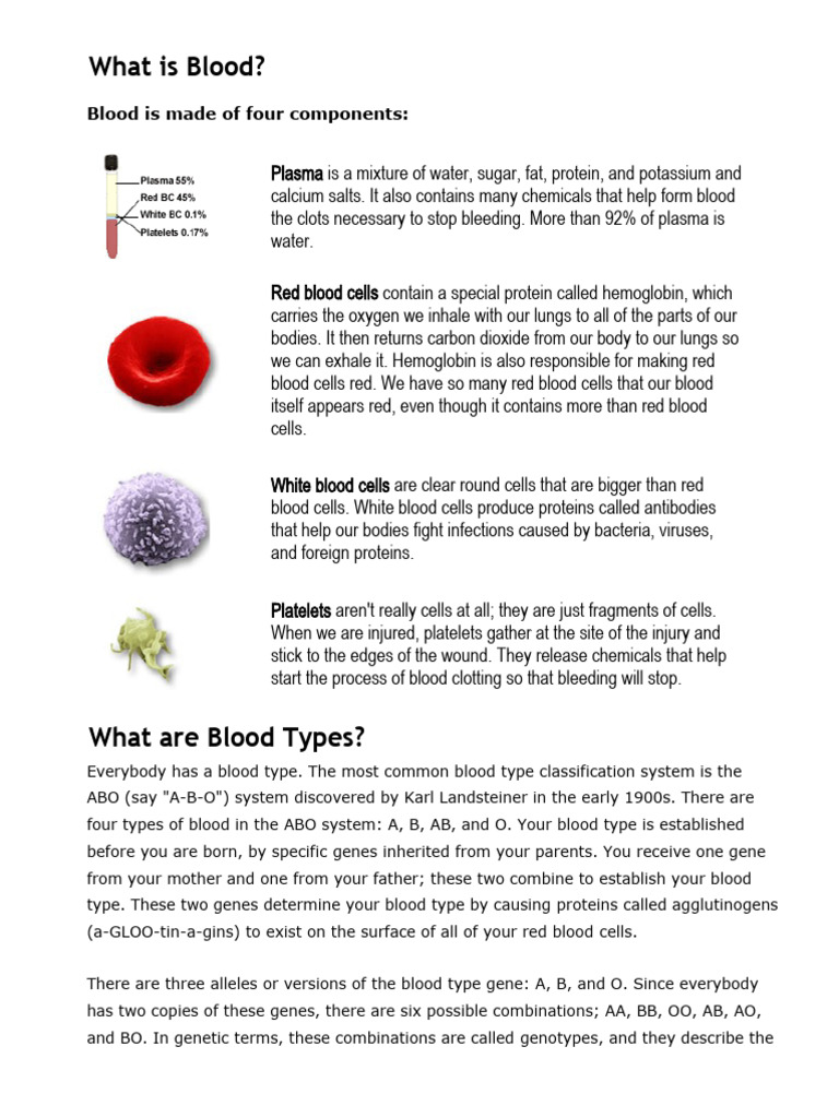4-what-is-blood-pdf-blood-type-allele