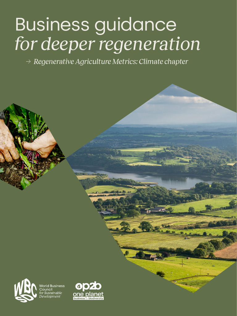 Regenerative Agriculture Climate Metrics Guide | PDF | Agriculture ...