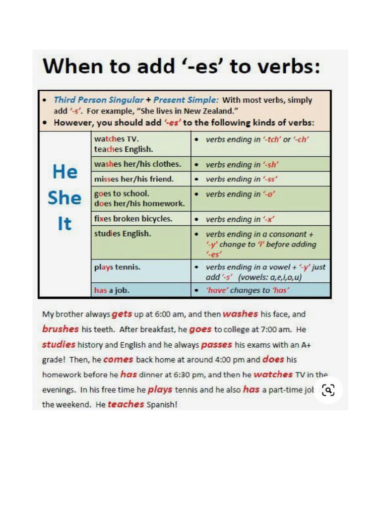 Verb S Es Ies | PDF