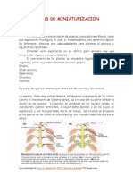 Tecnica para Reducir Las Hojas