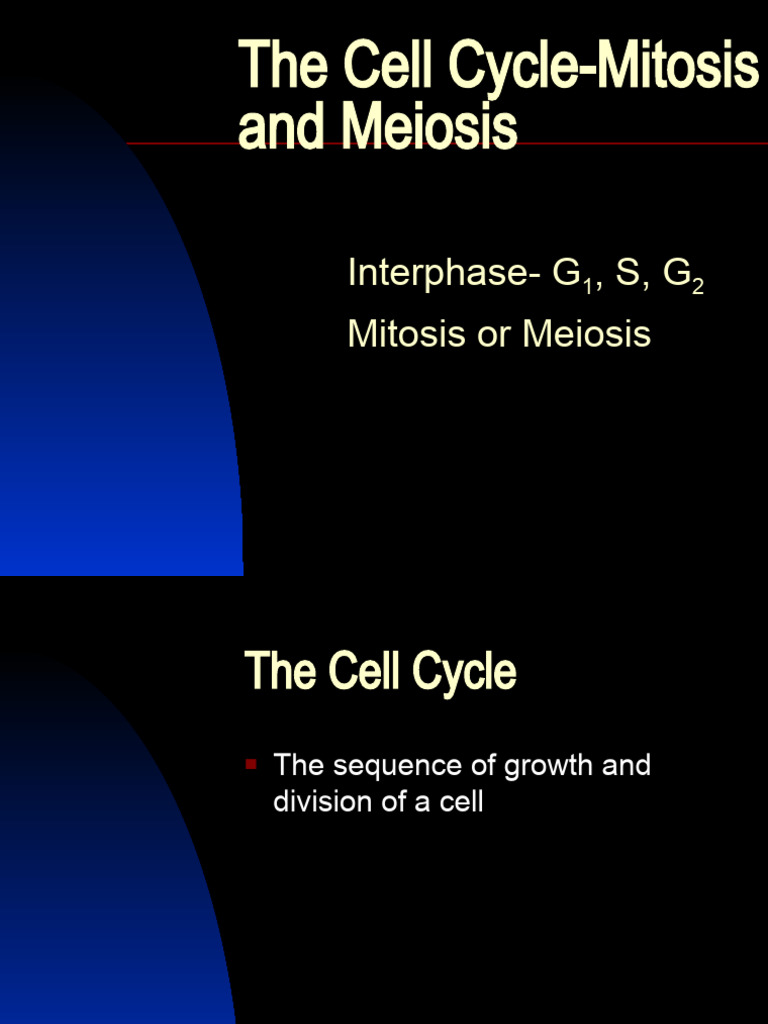 Understanding Mitosis and Meiosis Process | PDF | Meiosis | Mitosis