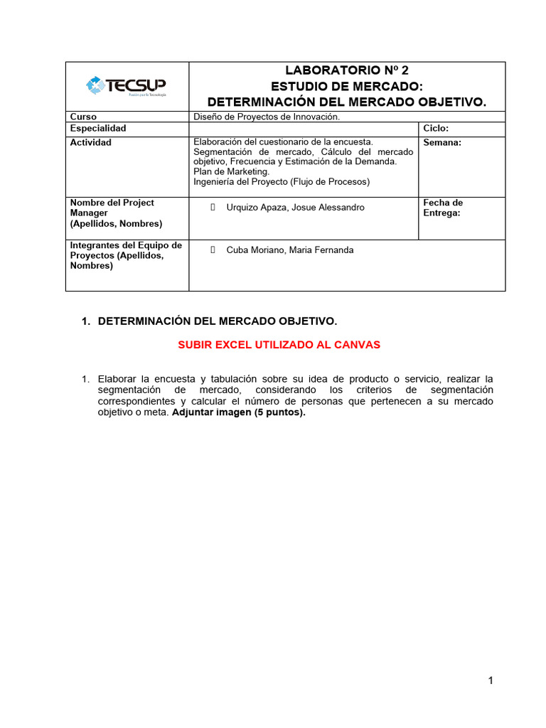 Estudio de Mercado y Plan de Marketing | PDF | Mercado (economía ...