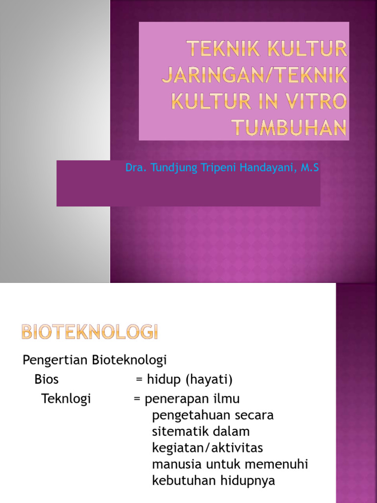 Ilovepdf merged pdf