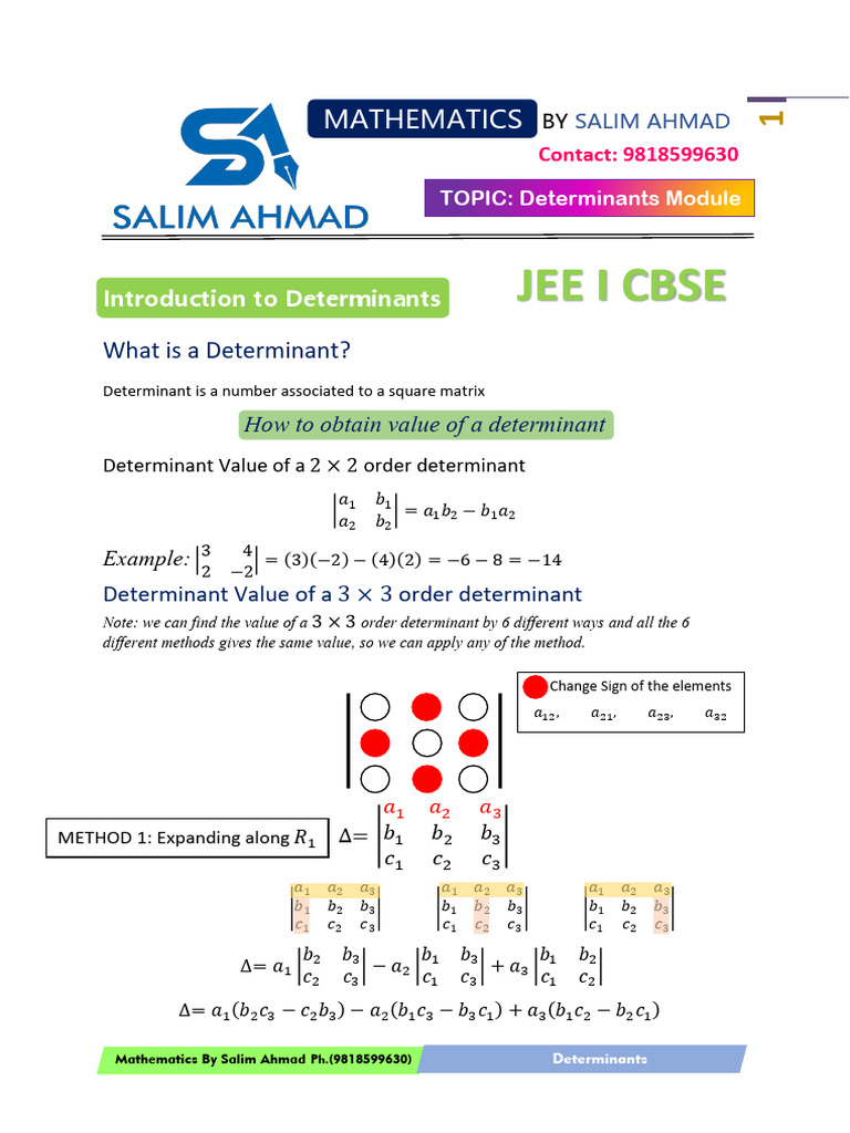 Class 12 Determinants Guide 2024-25 | PDF | Determinant | Matrix ...