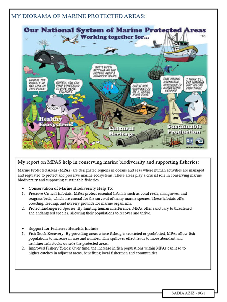 Marine Protected Areas | PDF | Science & Mathematics | Technology ...