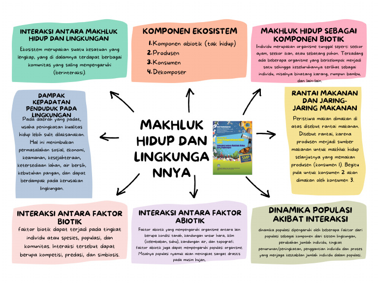 Firah Nur Rahmah 002 | PDF