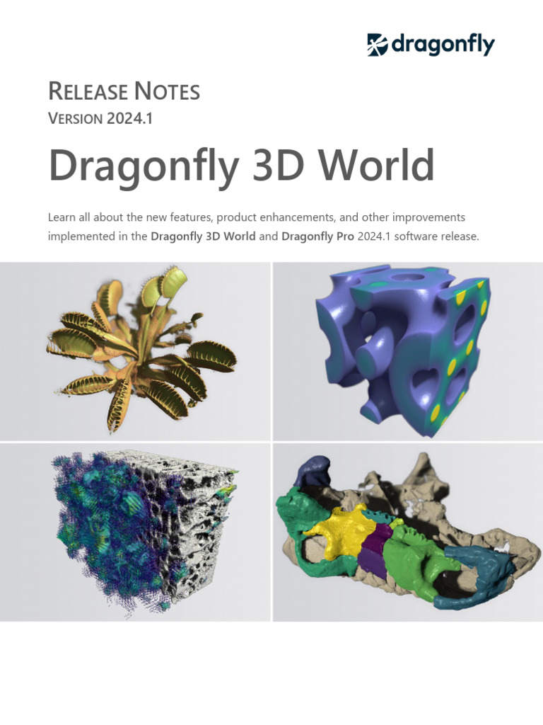 Dragonfly 3D World Release Notes | PDF | Image Segmentation | 3 D ...