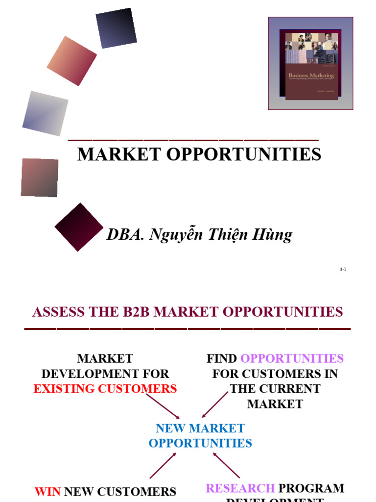 B2B Market Opportunity Assessment Guide | PDF | Market Segmentation ...