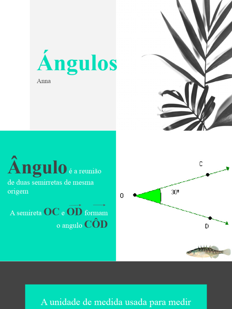 Classificação e Tipos de Ângulos | PDF | Planets | Solar System