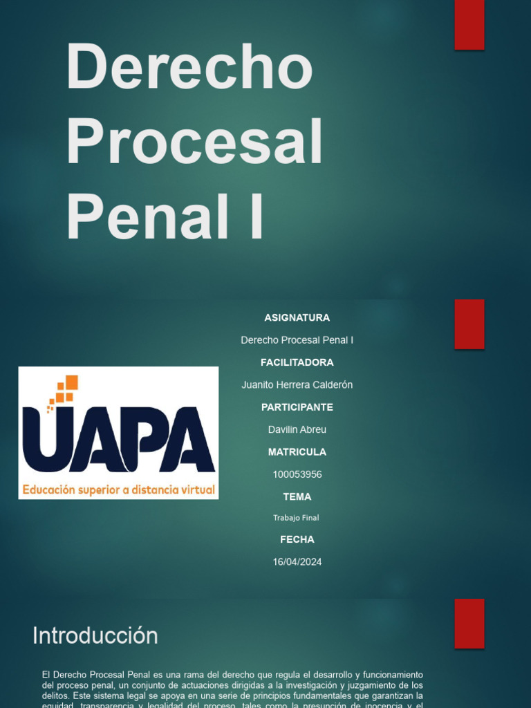 Trabajo Final Derecho Procesal Penal I | PDF | Queja | Derecho penal