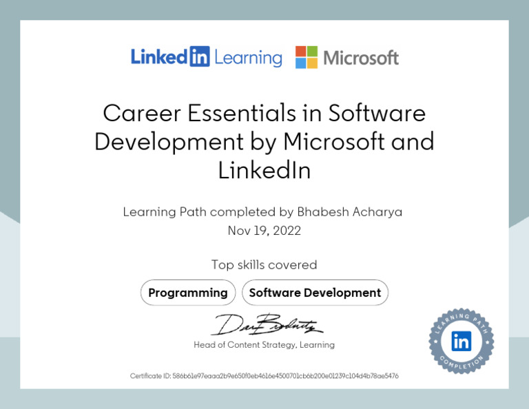 Software Dev Career Essentials | PDF