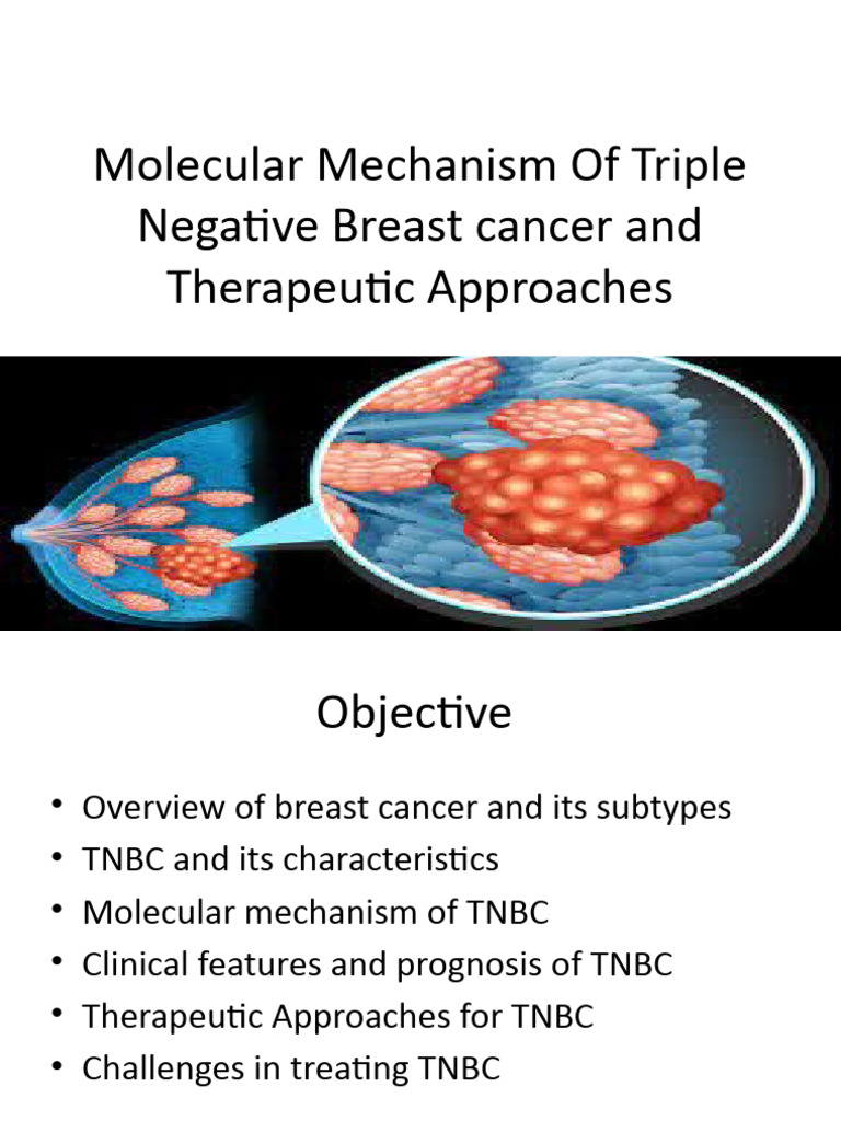 Molecular Mechanism of Triple Negative Breast Cancer and 3 | PDF ...