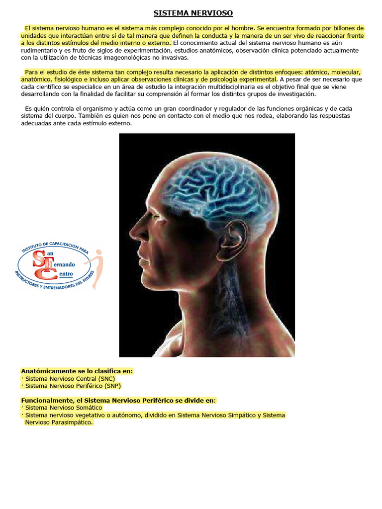 Fisiología Módulo 2 | PDF | Sinapsis | Neurona