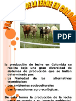 producciondelecheencolombia-100710091136-phpapp02