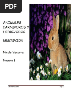 Animales Carnivoros y Herbivoros