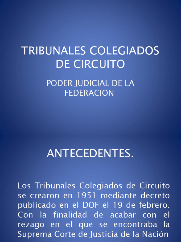 PRESENTACION Tribunal Colegiado de Circuito | PDF | Judicaturas | Caso ...