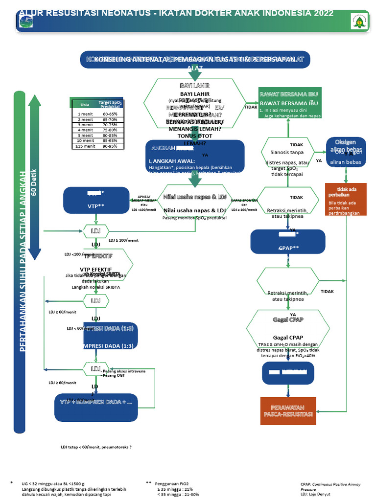 Alur Resusitasi Neonatus IDAI 2022 | PDF