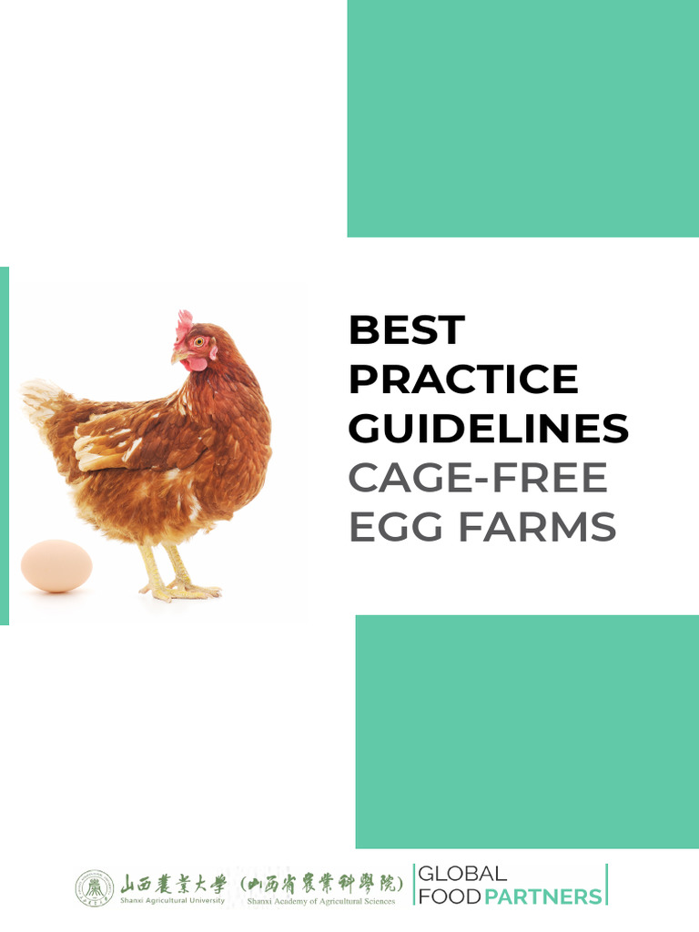 cage-free-eggs-pdf-chicken-poultry-farming