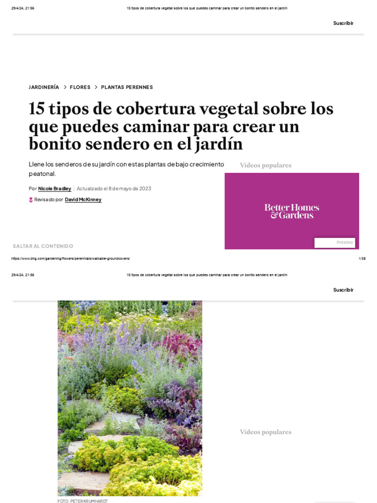 Cómo cultivar y cuidar una Sedum rubrotinctum 'Redberry', image size:768x1024