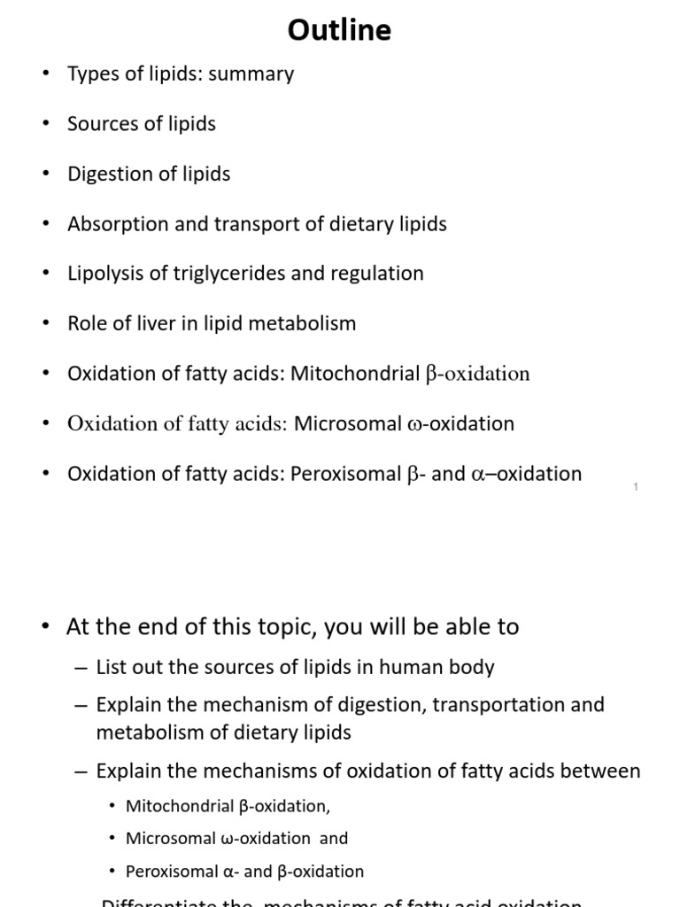 Lipid Metabolism: Digestion and Transport | PDF | Lipoprotein | Fatty Acid