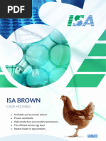 ISA Brown Chicken Production Guide | PDF | Selective Breeding | Chicken
