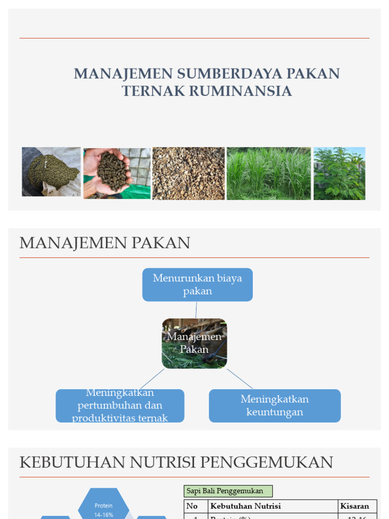 Manajemen Pakan Ternak Ruminansia Efisien | PDF | Kesehatan Holistik