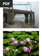 agricultura-biodinamica1