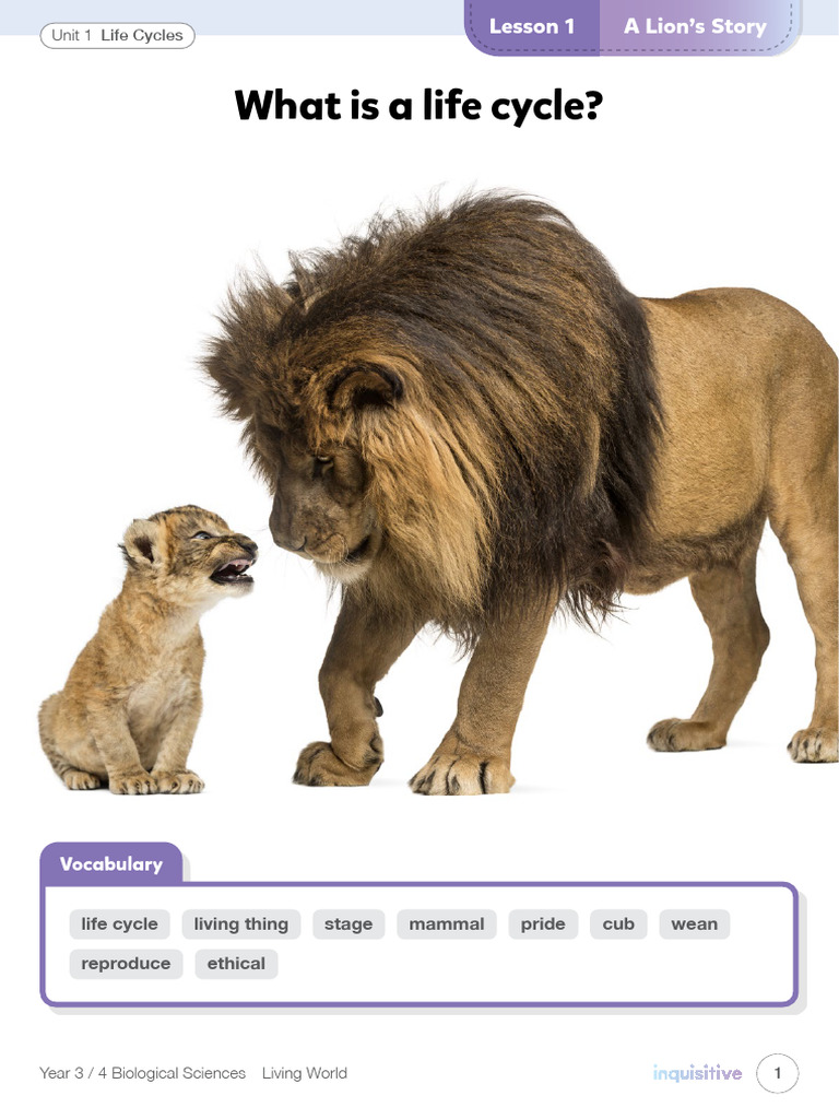 A-Lion's-Story+ (1) 3 | PDF | Lion