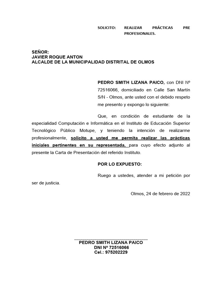 practicas-rpofesionales-pdf-business