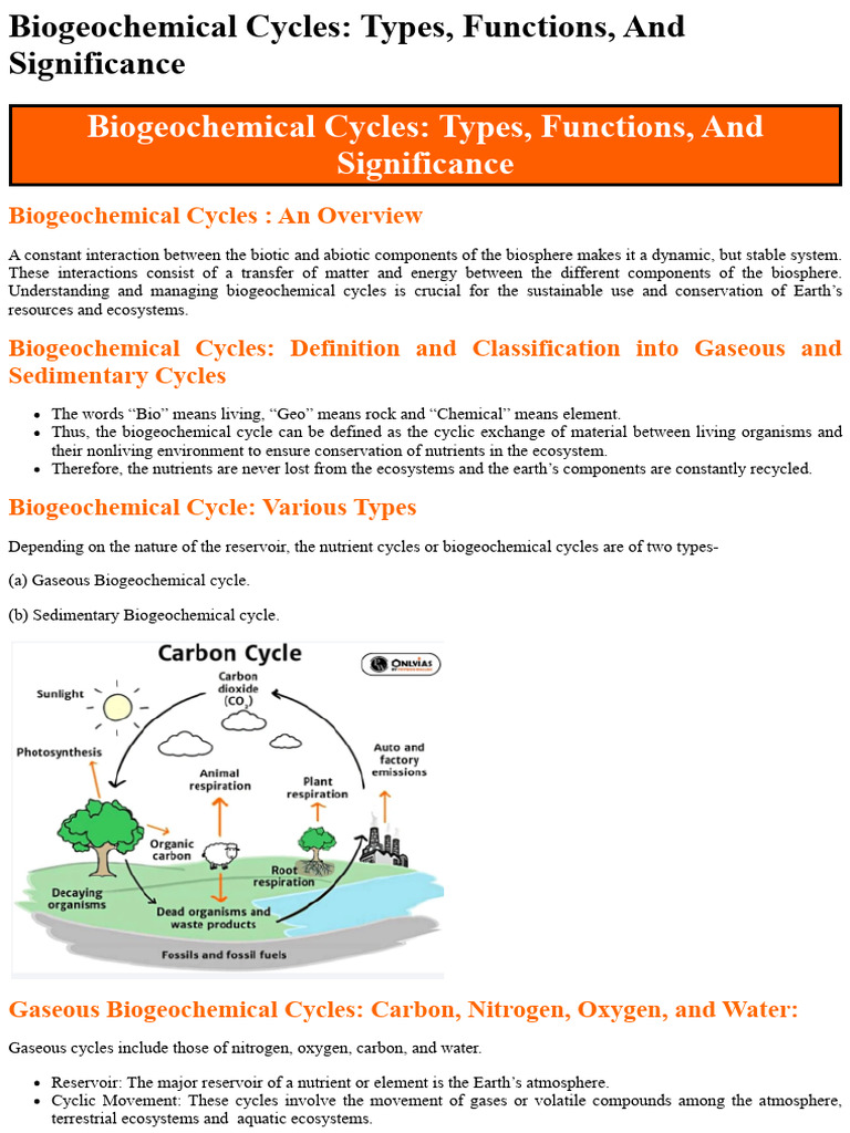 3 Biogeochemical Cycles Pdf Soil Ecosystem