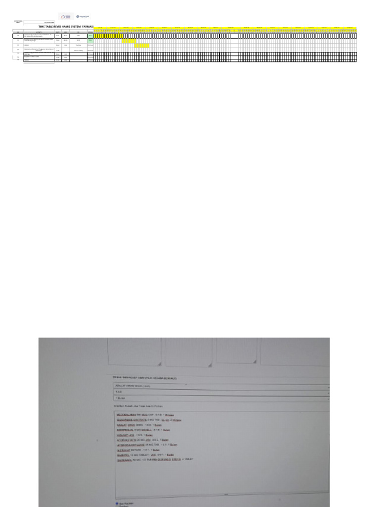 HM - Time Table Revisi HAMIS System IT (Farmasi & Dokter Input Obat) | PDF