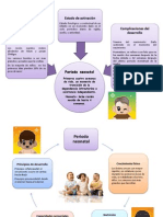 Psicologia Del Desarrollo