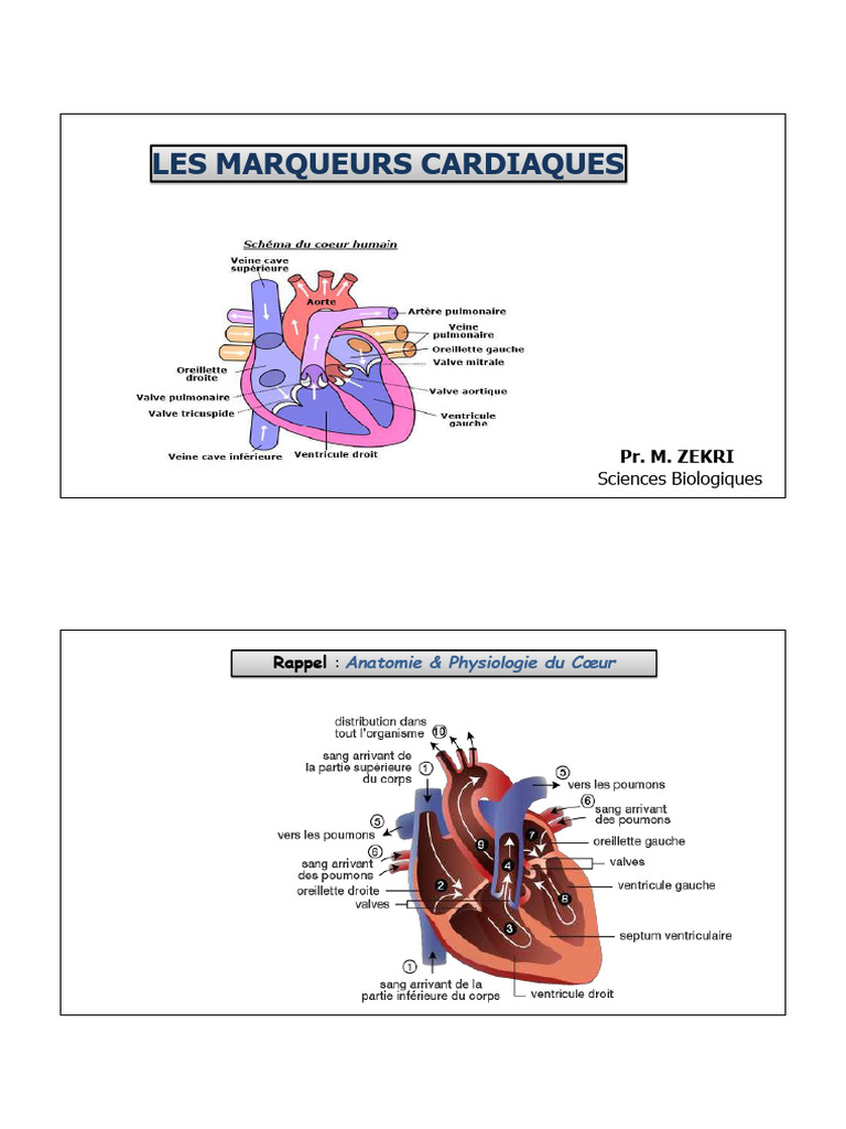 Marqueurs cardiaques et leur rôle | PDF | Infarctus du myocarde ...