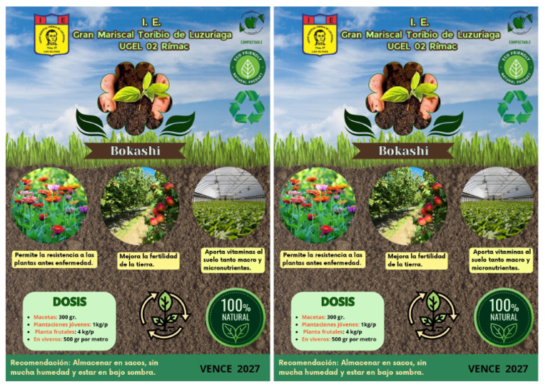 Flyer | PDF