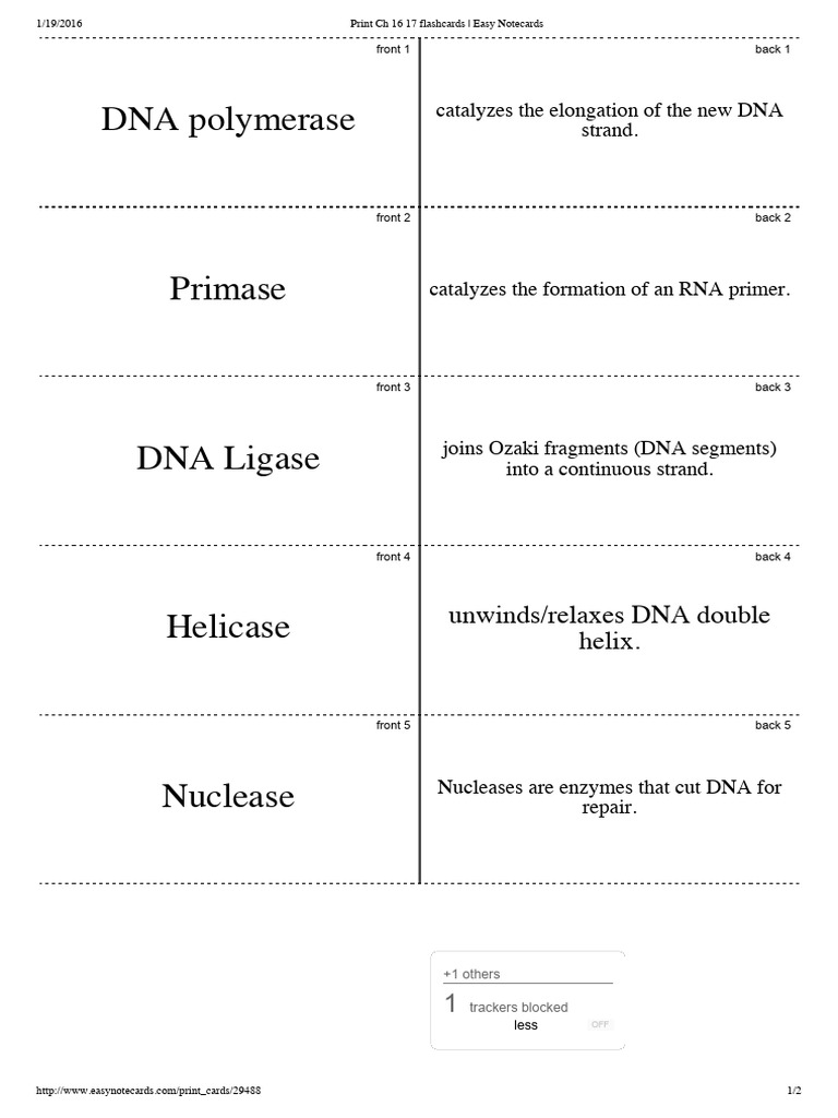 DNA Replication Enzymes Flashcards | PDF | Dna | Dna Replication