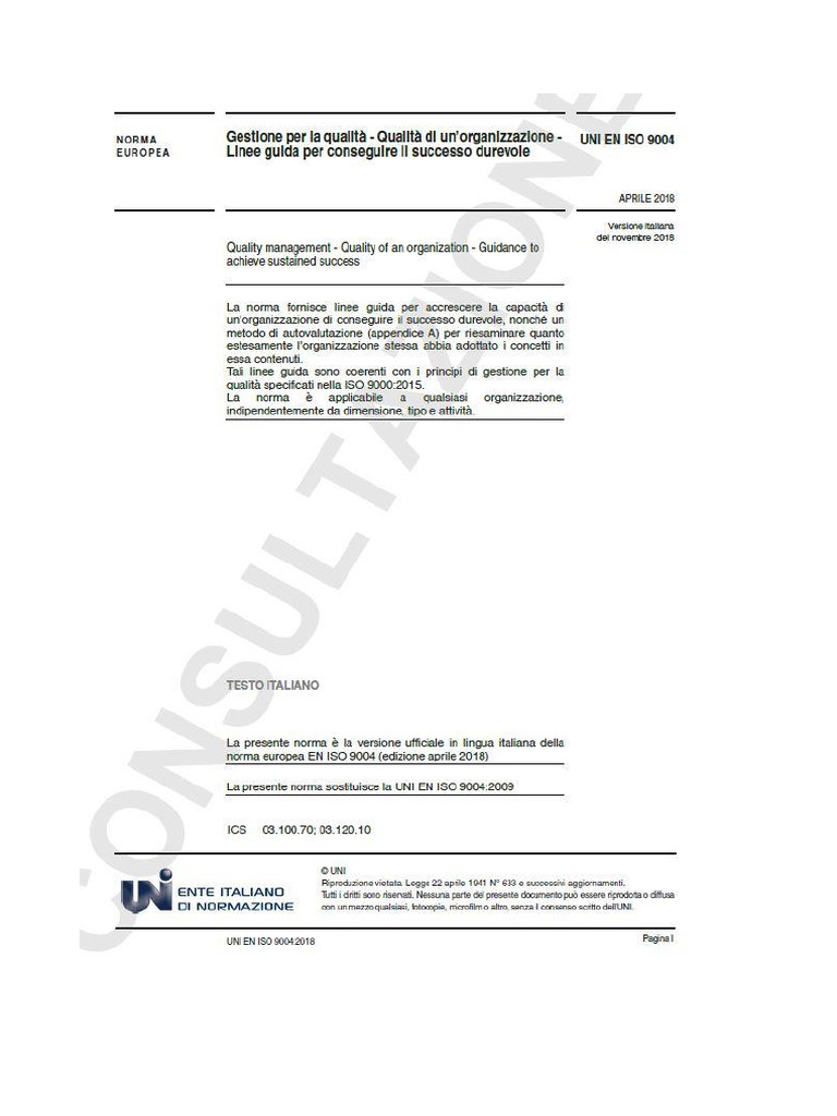 Uni en Iso 9004 - 2018 | PDF