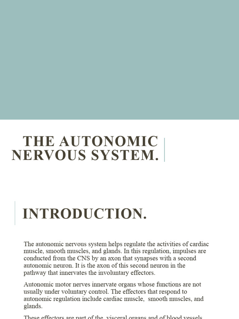 Ans 1 | PDF | Autonomic Nervous System | Motor Neuron