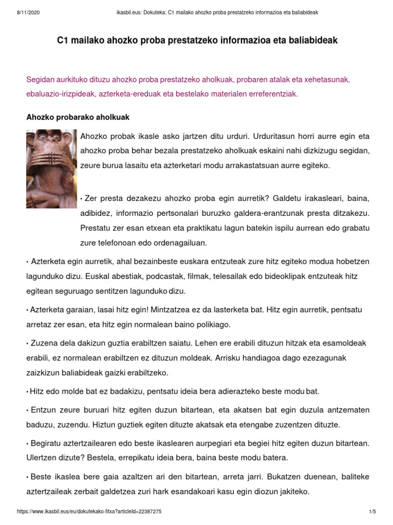 Mintzamen Proba Egiteko Irizpideak | PDF